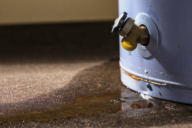 Best Flood restoration services  in Lemay, MO