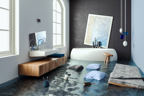 Best Mold removal after water damage  in Lemay, MO