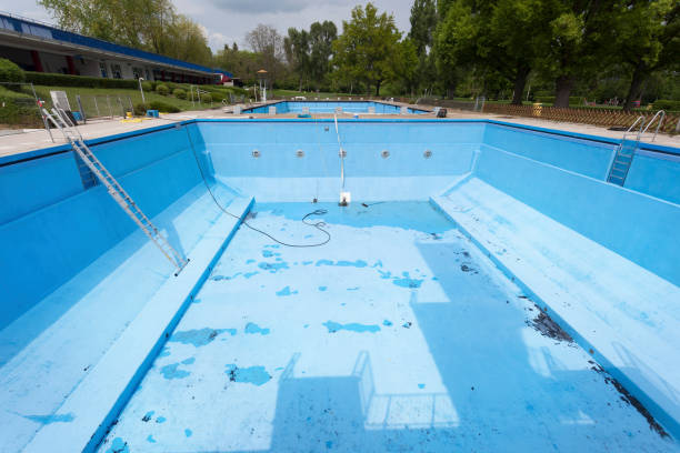 Best Water damage cleanup near me  in Lemay, MO