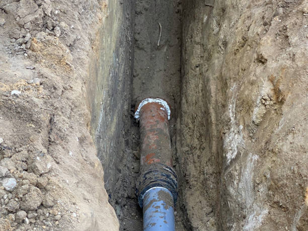 Best Flood damage cleanup  in Lemay, MO