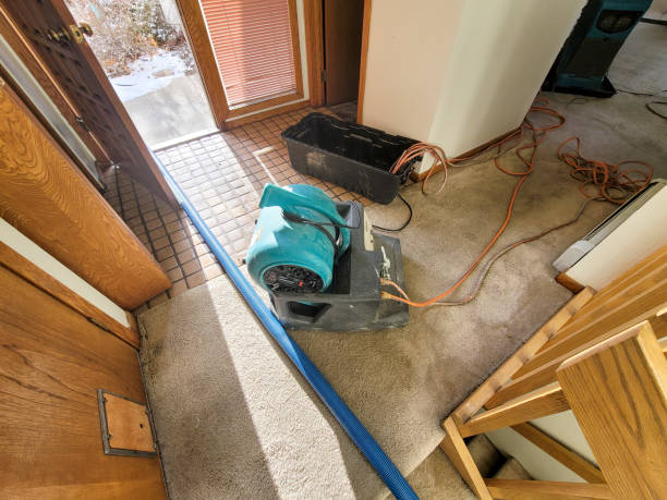 Fire Damage Restoration in Lemay, MO