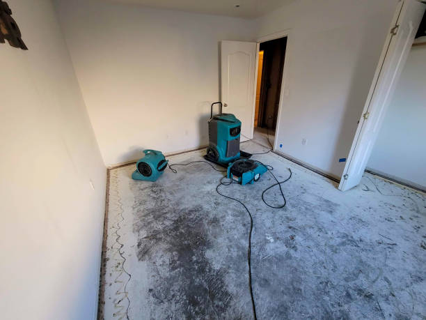 Best 24-hour water damage restoration  in Lemay, MO