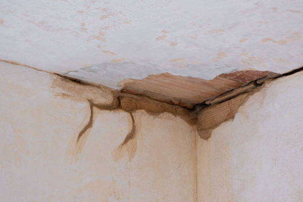 Best Sewage cleanup and water damage restoration  in Lemay, MO