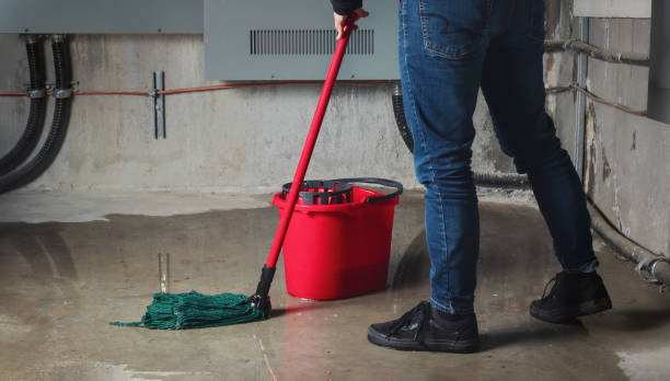 Reliable Lemay, MO Water damage restoration Solutions