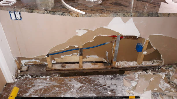 Best Sewage cleanup and water damage restoration  in Lemay, MO