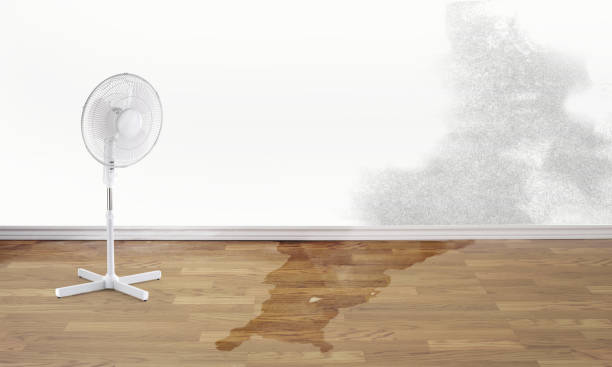 Best Fire Damage Restoration  in Lemay, MO