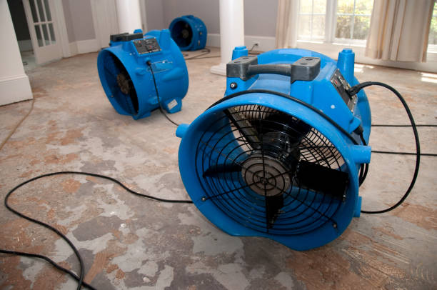 Best Emergency water damage restoration  in Lemay, MO