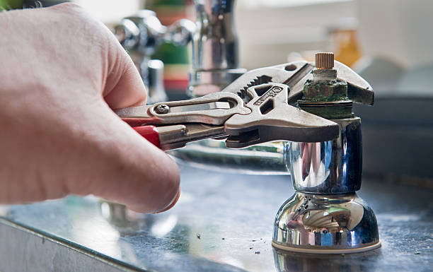 Best Flood damage cleanup  in Lemay, MO