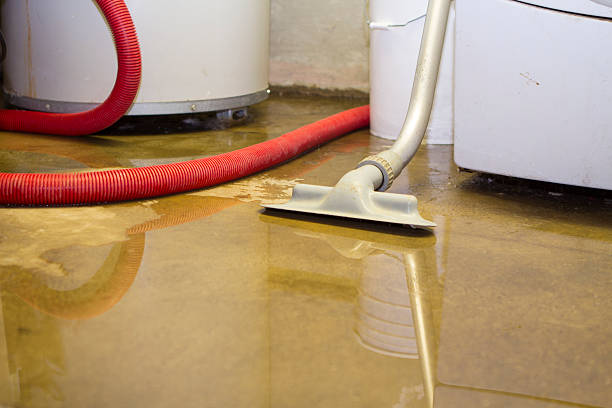 Best Flood restoration services  in Lemay, MO