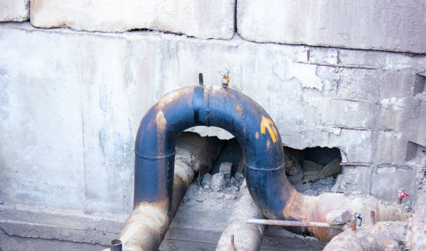 Best Local water damage restoration  in Lemay, MO