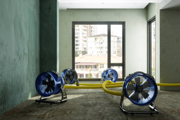 Sewage cleanup and water damage restoration in Lemay, MO